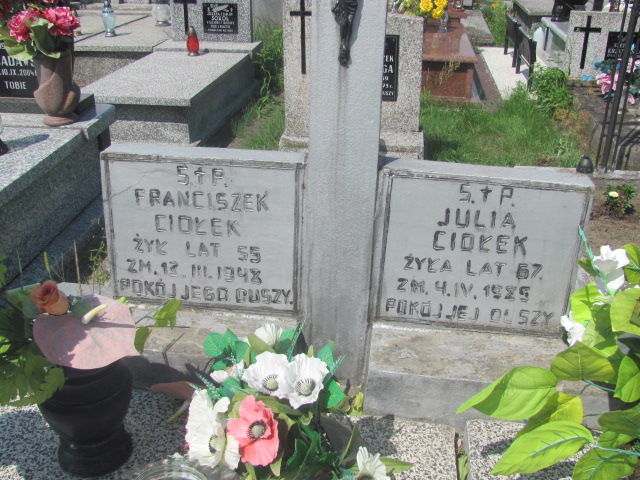  Ciołek Nowy Korczyn - Grobonet - Wyszukiwarka osób pochowanych