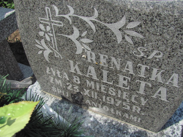 Renata Kaleta Nowy Korczyn - Grobonet - Wyszukiwarka osób pochowanych