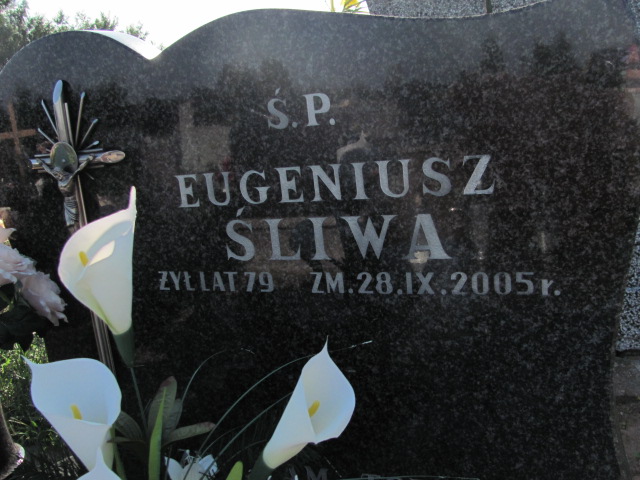 Eugeniusz Śliwa Nowy Korczyn - Grobonet - Wyszukiwarka osób pochowanych